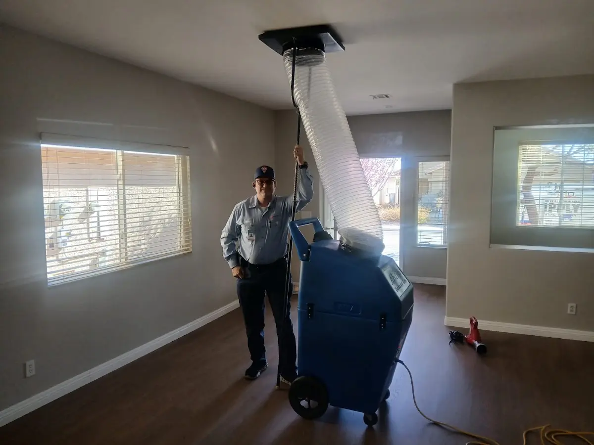 Professional Dryer Vent Cleaning work inside a Machesney Park home
